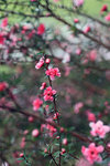 nEO_IMG_IMG_7251