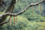 nEO_IMG_IMG_7268