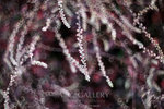 nEO_IMG_IMG_7270