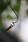 nEO_IMG_IMG_7293