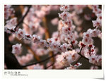 nEO_IMG_Korea 033