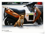 nEO_IMG_Korea 657