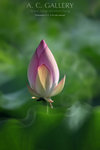 nEO_IMG_IMG_7964