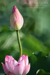 nEO_IMG_IMG_8044