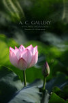 nEO_IMG_IMG_8096