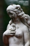 mirror 528