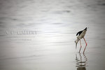 nEO_IMG_IMG_4831