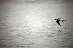 nEO_IMG_IMG_4841