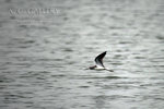 nEO_IMG_IMG_4848