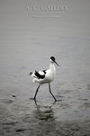nEO_IMG_IMG_4924