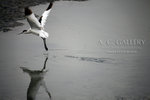 nEO_IMG_IMG_4937