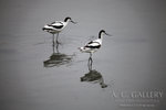 nEO_IMG_IMG_5078