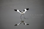 nEO_IMG_IMG_5103