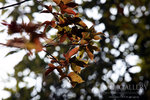 nEO_IMG_IMG_3054