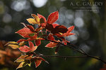 nEO_IMG_IMG_3084