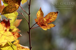 nEO_IMG_IMG_3120