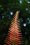 nEO_IMG_IMG_3332
