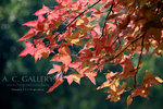 nEO_IMG_IMG_3368