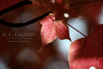 nEO_IMG_IMG_3459