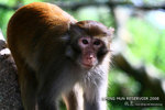 nEO_IMG_IMG_4353