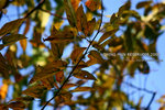 nEO_IMG_IMG_4358
