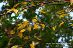 nEO_IMG_IMG_4359