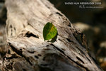 nEO_IMG_IMG_4398