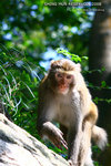 nEO_IMG_IMG_4499