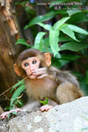 nEO_IMG_IMG_4505