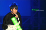 sodagreen24