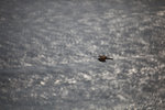 nEO_IMG_IMG_0266