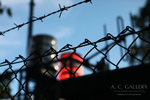 nEO_IMG_IMG_0295