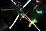 nEO_IMG_IMG_5313