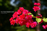 nEO_IMG_IMG_5316