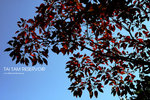 nEO_IMG_IMG_5378