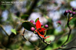 nEO_IMG_IMG_5380