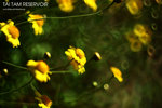 nEO_IMG_IMG_5394