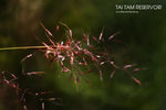 nEO_IMG_IMG_5396