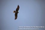 nEO_IMG_IMG_0231