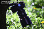 nEO_IMG_IMG_0273