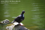 nEO_IMG_IMG_1533