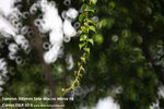 nEO_IMG_IMG_1594