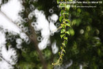 nEO_IMG_IMG_1598