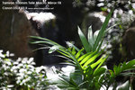 nEO_IMG_IMG_1602