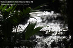 nEO_IMG_IMG_1603