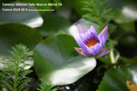 nEO_IMG_IMG_1628