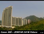IMG_4245