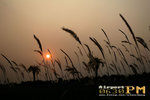 IMG_3137_nEO_IMG