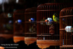 nEO_IMG_IMG_5043
