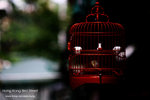 nEO_IMG_IMG_5079